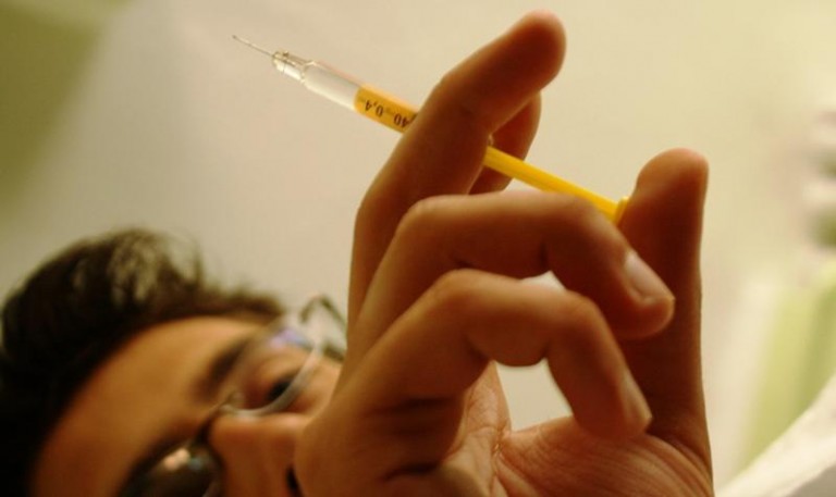 Świńska grypa atakuje. Już trzy przypadki