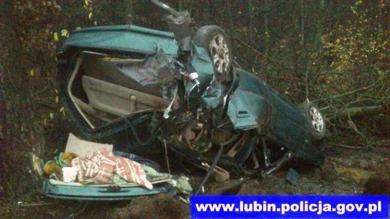 Peugeot wbił się w drzewo