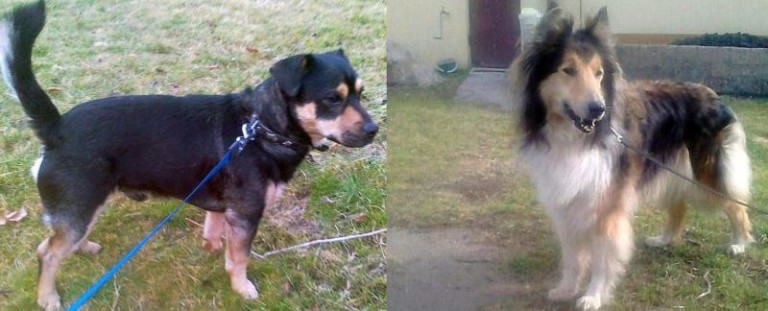 Czy ktoś ich szuka?