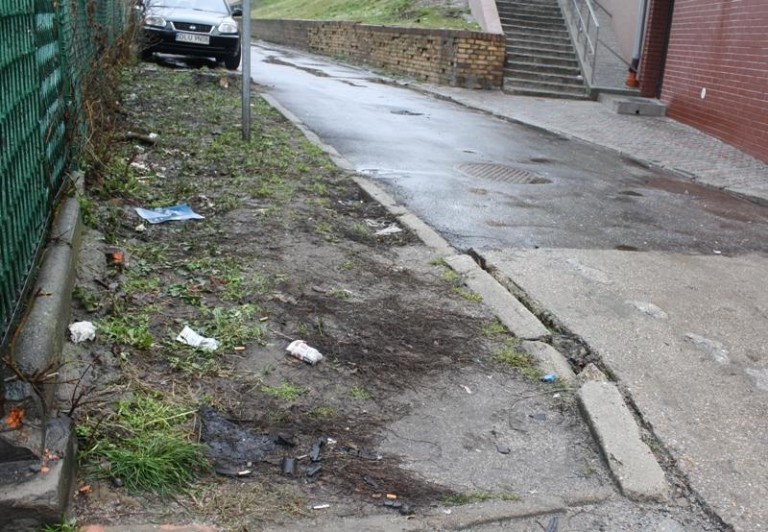 Zamiast śniegu… śmieci i psie kupy