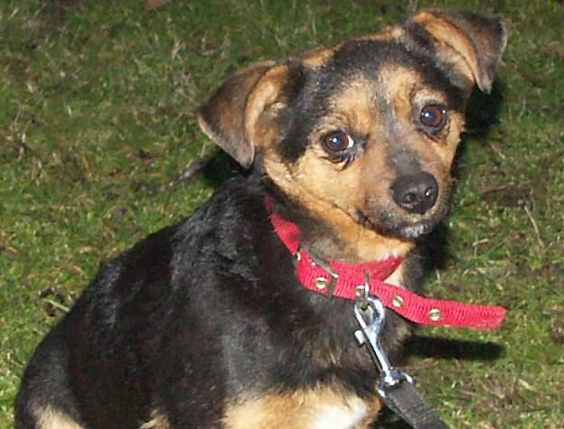 Została tylko jedna