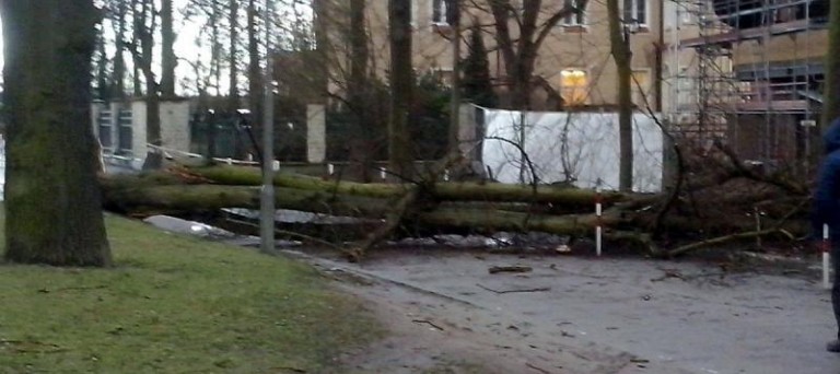 Silny wiatr sieje spustoszenie