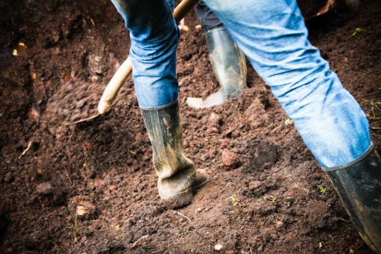 Dla poszukujących zatrudnienia