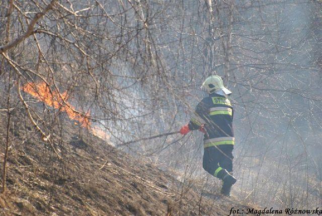 Zadyma na cztery fajerki (FOTO)