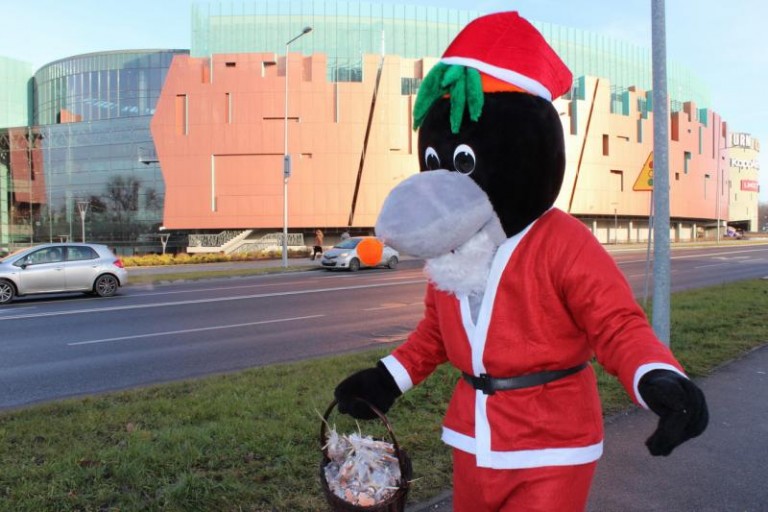 Krecik rozdawał pierniki