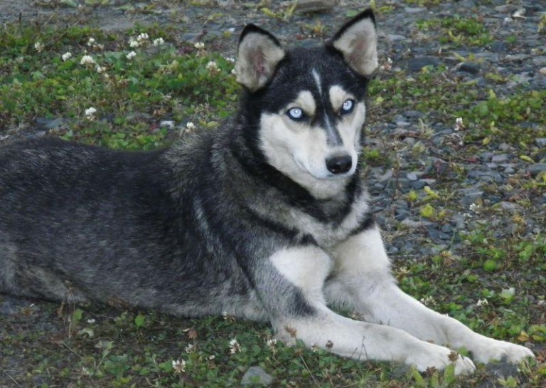 Porzucona przy drodze