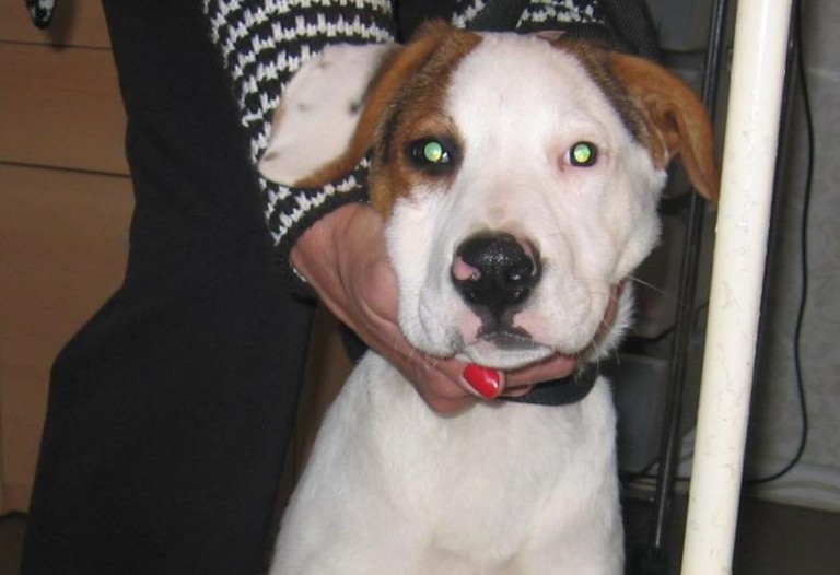 Noc spędziła pod sklepem