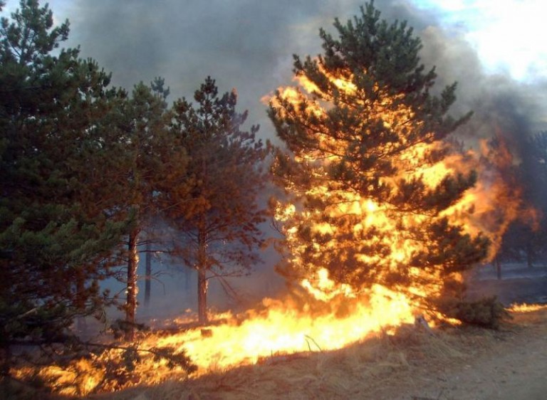 Coraz więcej pożarów, dom zapalił się drugi raz