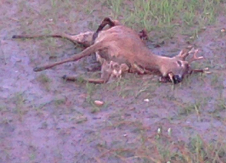 Po zderzeniu może stracić życie