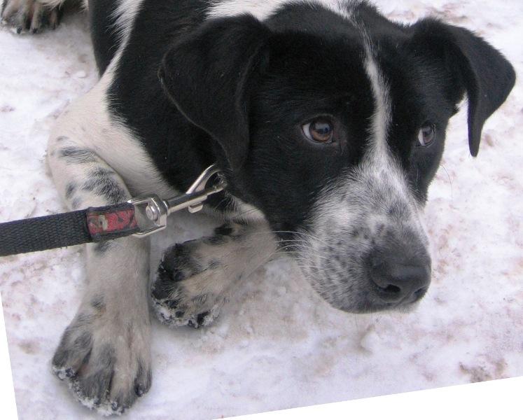 Najpierw chłód, a teraz samotność