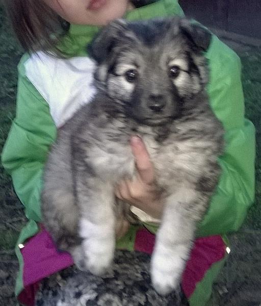 Siódemka do kochania