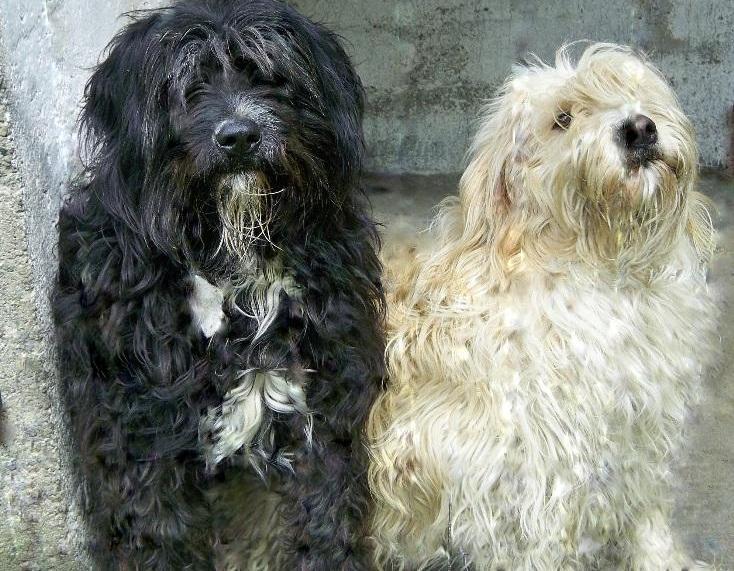 Sieroty z domu dziecka