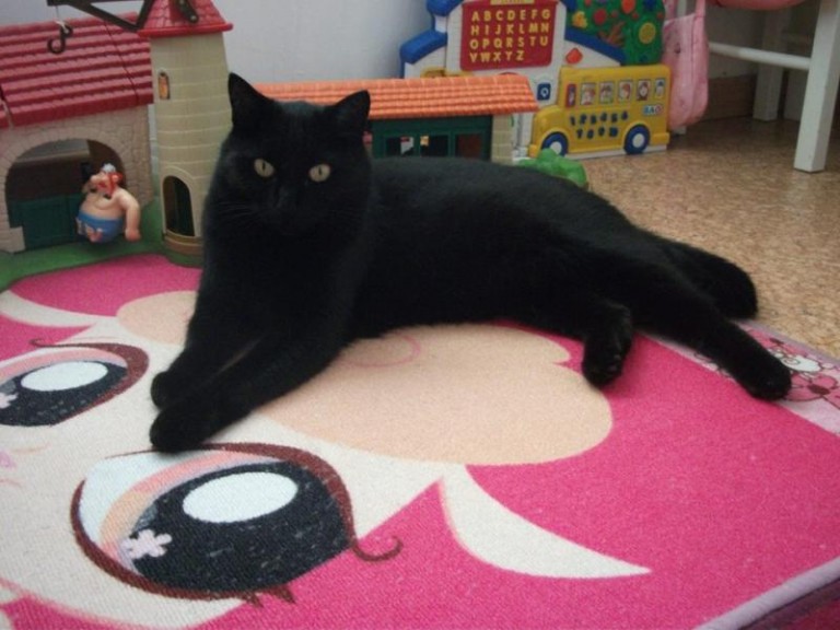 Ślad po nim zaginął