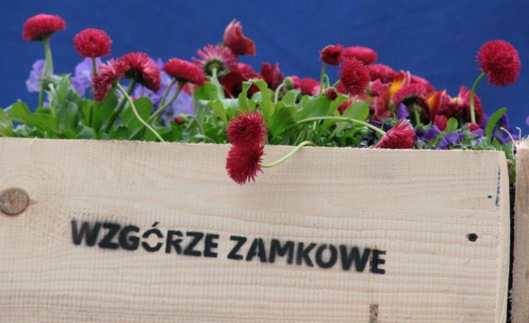 Zapisy na warsztaty jeszcze tylko dzisiaj