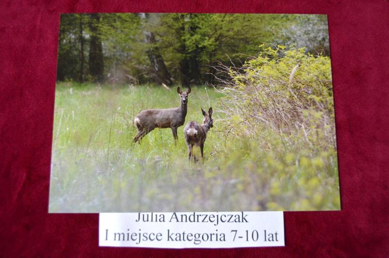 Fotografowali gminę i okolice