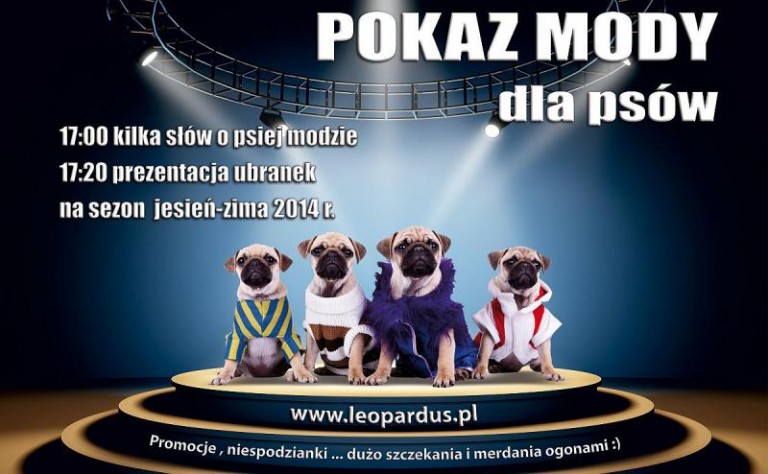 Pokaz mody dla psów