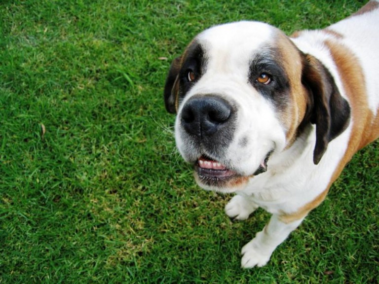 Park nie dla wszystkich