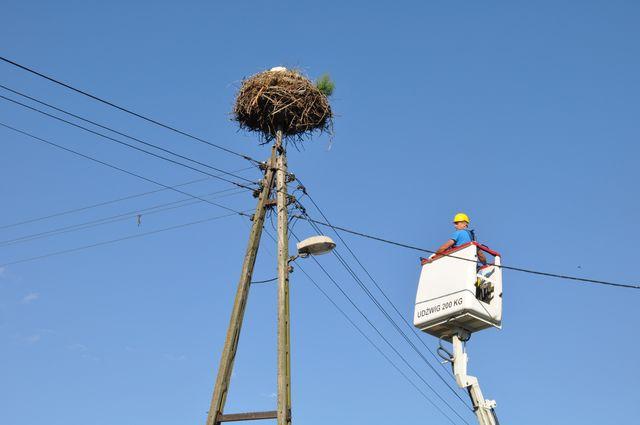 Tylko jeden został (AKTUALIZACJA)