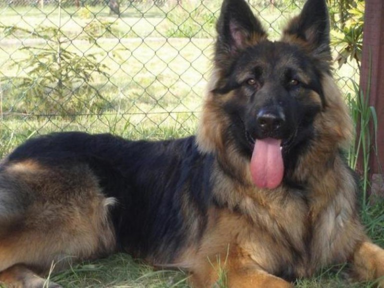 Na bezczelnego (AKTUALIZACJA)