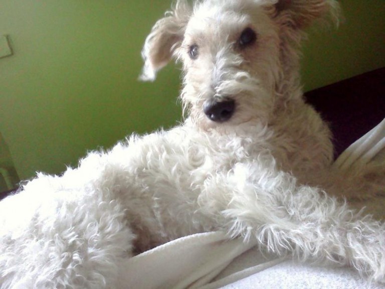 Szukają i obiecują nagrodę