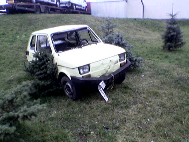 Zdj__cie003.jpg