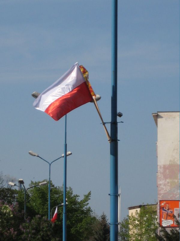 flaga.JPG