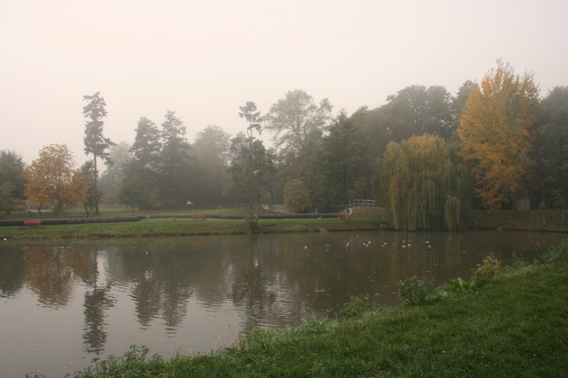 IMG_5857.JPG