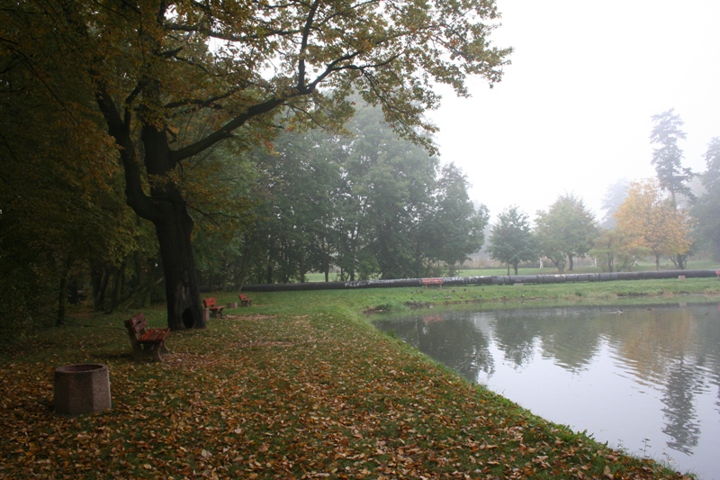 IMG_5860.JPG