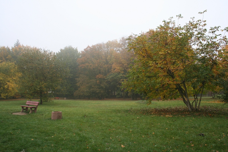 IMG_5866.JPG