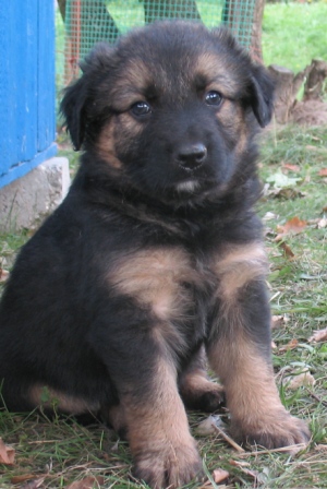 Obraz_026.jpg