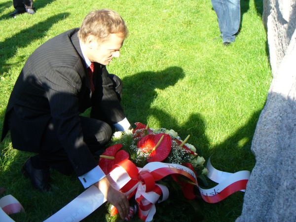 tusk1.jpg