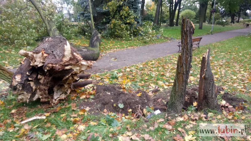 Uwaga! Kolejny alert przed silnym wiatrem