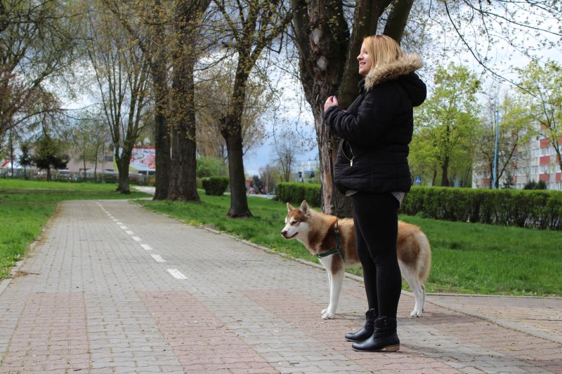 Psi park do wakacji – pierwsze takie miejsce w Lubinie