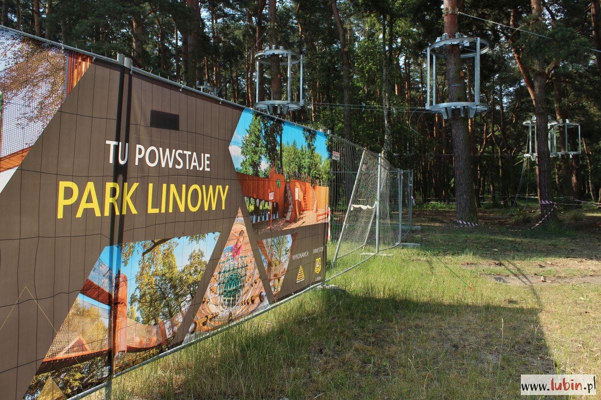 Właśnie powstaje park linowy, otwarcie w sierpniu