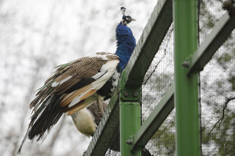 Park Wrocławski czynny dłużej