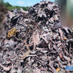 phpThumb_genera1ted_thumbnail