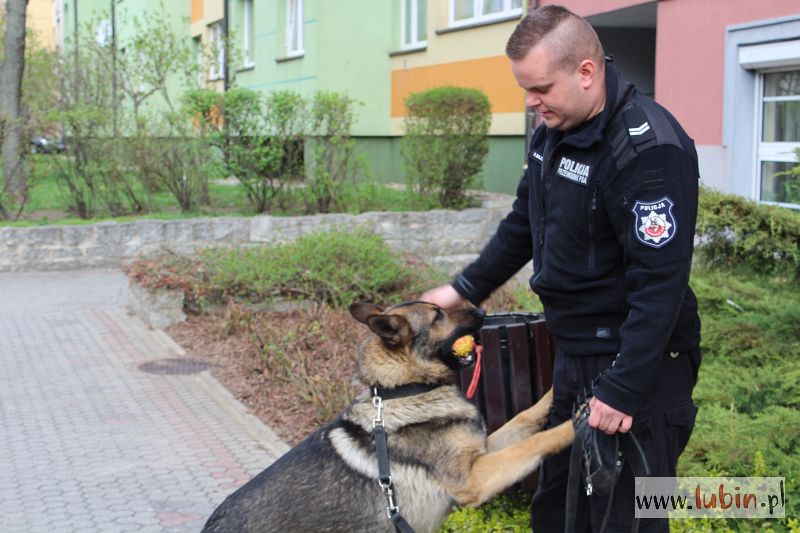 Rambo z lubińskiej policji