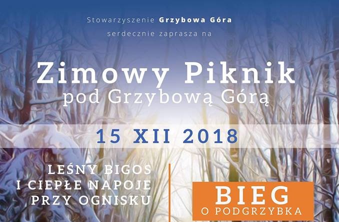 Zimowy piknik pod Grzybową Górą