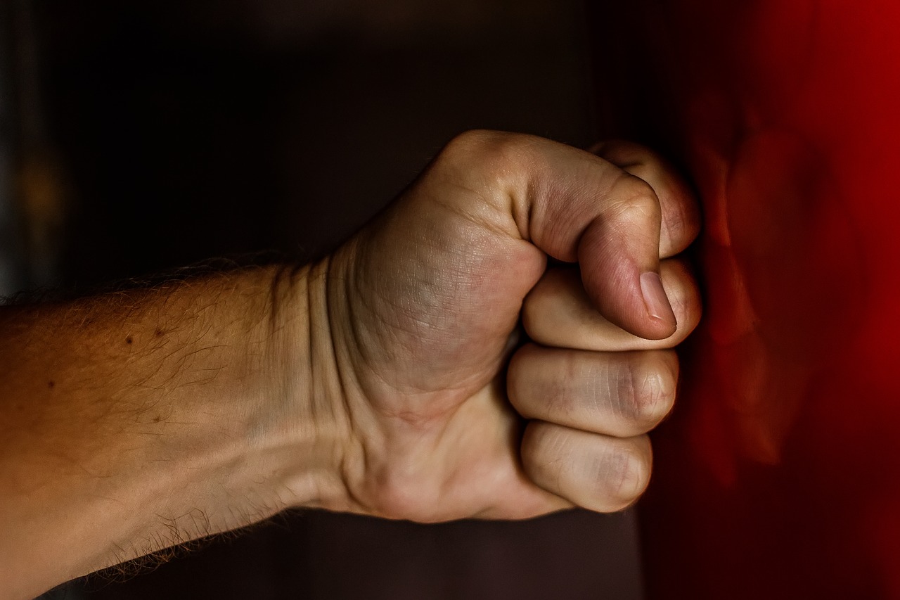 Jeden znęcał się nad siostrą, drugi nad żoną i dziećmi