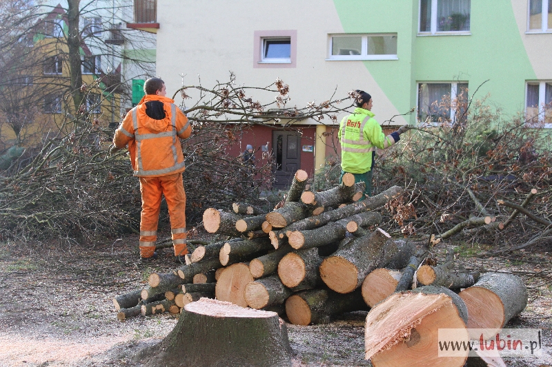 Wycinają drzewa, będzie przebudowa