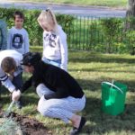 sadzenie żonkili, 05.10 (16)