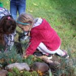 sadzenie żonkili, 05.10 (43)