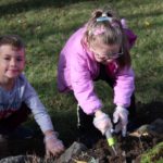 sadzenie żonkili, 05.10 (44)