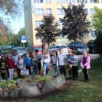 sadzenie żonkili, 05.10 (48)