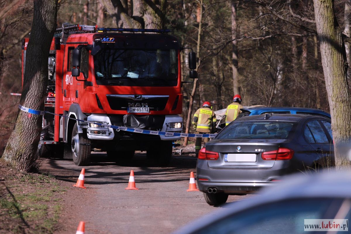 Zwęglone ciała nastolatków: śledztwo umorzone