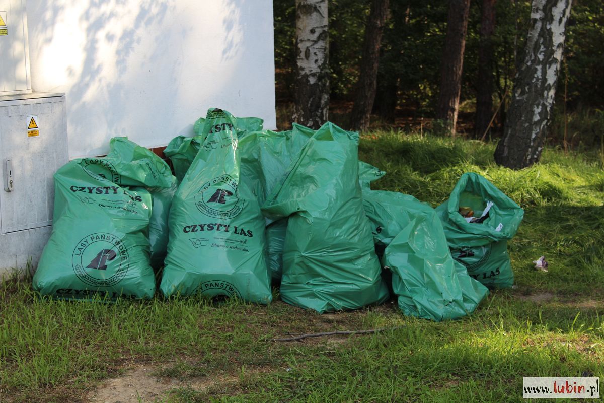 Śmietnik w lesie – trafiają tu tony odpadów