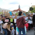 strajk klimatyczny (26)