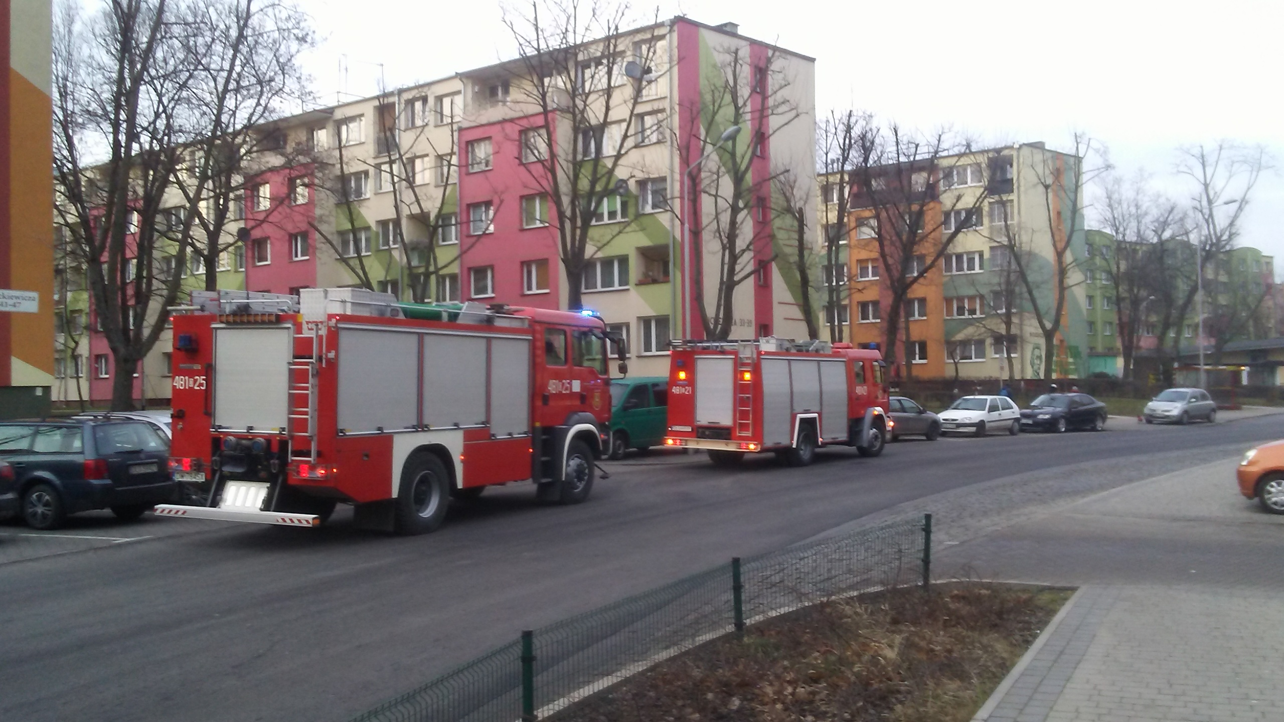 Zaniepokoiła ich nieobecność sąsiadki