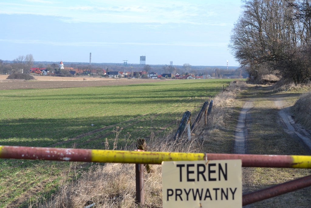 Strzelnica kompromisu zaprasza na piknik