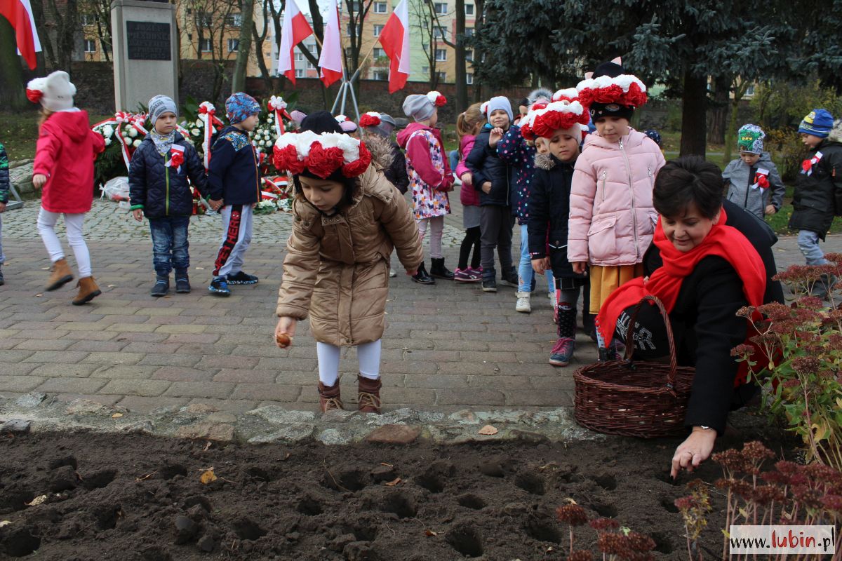 Przedszkolaki zasadziły tulipany od polskich żołnierzy